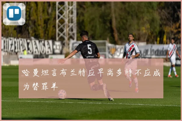 哈曼坦言布兰特应早离多特不应成为替罪羊